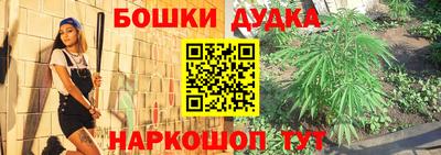 PSILOCYBIN Чебоксары