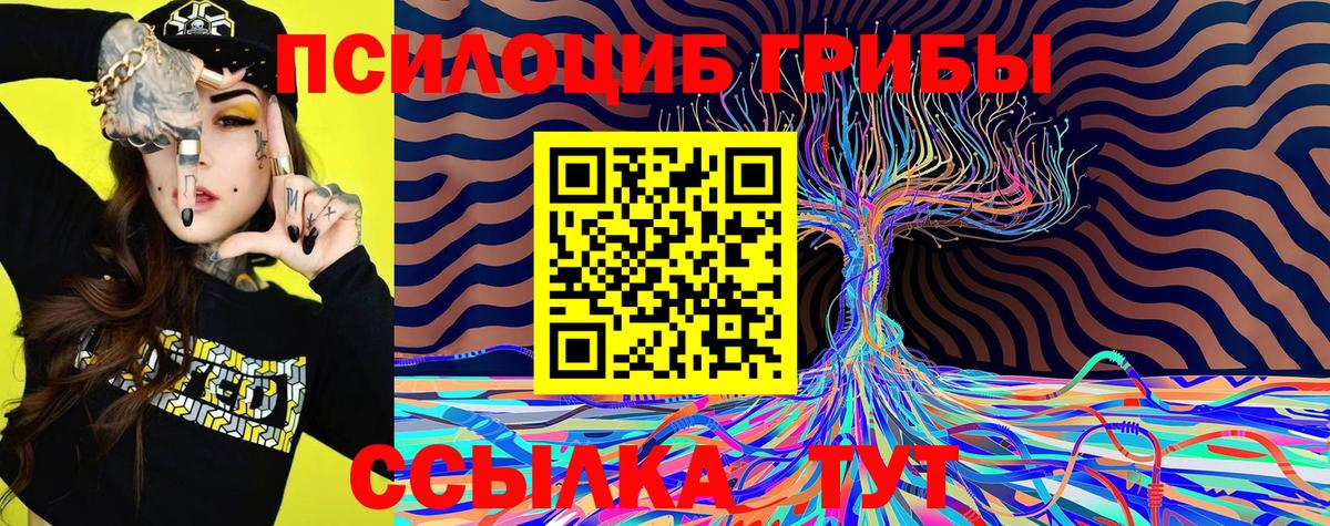 Галлюциногенные грибы Psilocybe Нижнеудинск