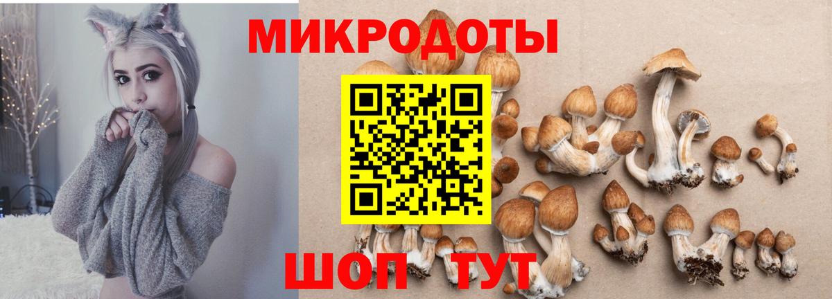 Галлюциногенные грибы Psilocybine cubensis  Вход с VPN  Нижнеудинск  Псилоцибиновые грибы Cubensis 